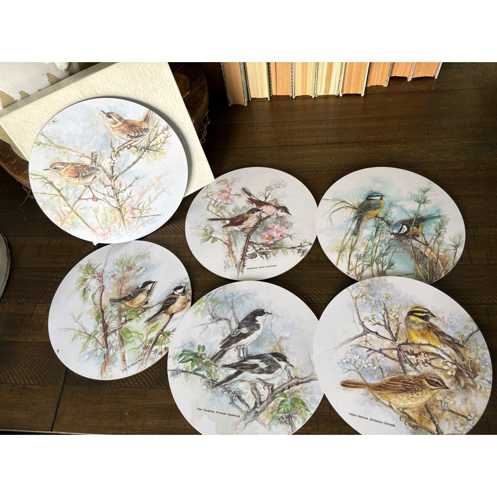 Set 6 VTG Round Melamine Tableware Placemats‎ Orchard British Birds Signed